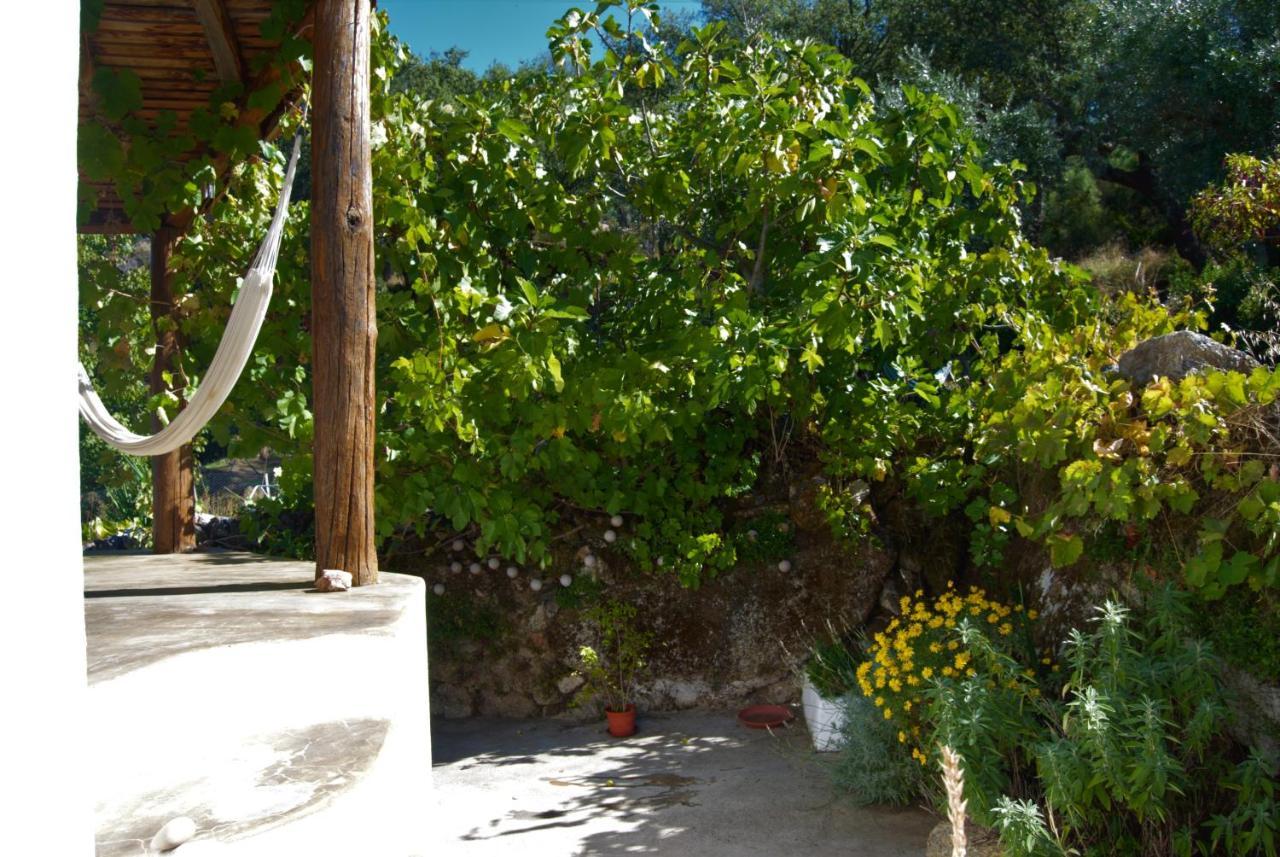 Terrafazbem Villa Marvão Exterior foto